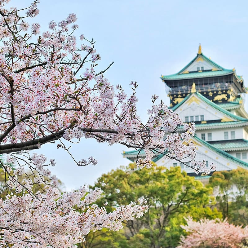 Foto del viaje a medida a Japn de NATIVIDAD IMAZ (HENDAYA) organizado por Viajes Eurotrip Bidaiak